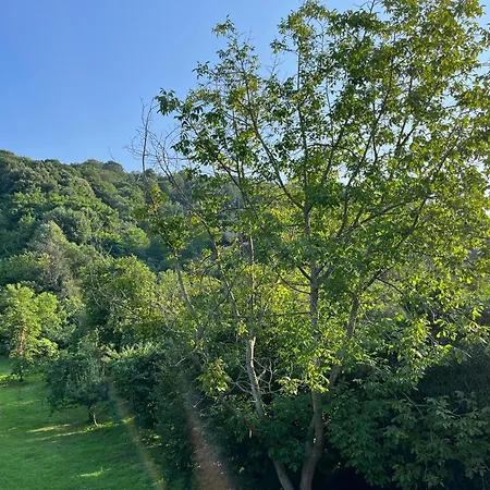 With Heated Pool In Large Garden Appartement